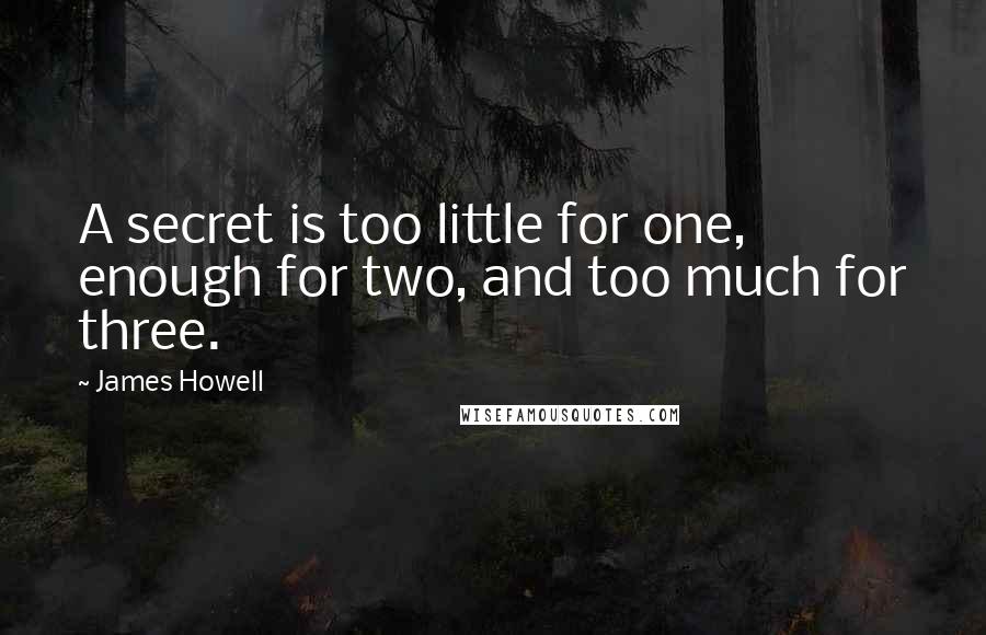 James Howell Quotes: A secret is too little for one, enough for two, and too much for three.