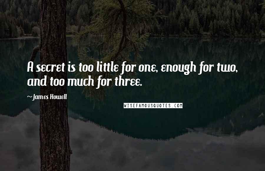 James Howell Quotes: A secret is too little for one, enough for two, and too much for three.