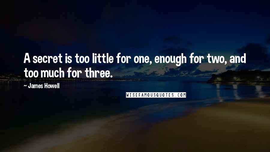 James Howell Quotes: A secret is too little for one, enough for two, and too much for three.