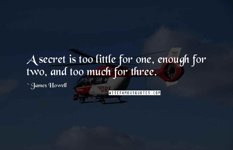 James Howell Quotes: A secret is too little for one, enough for two, and too much for three.