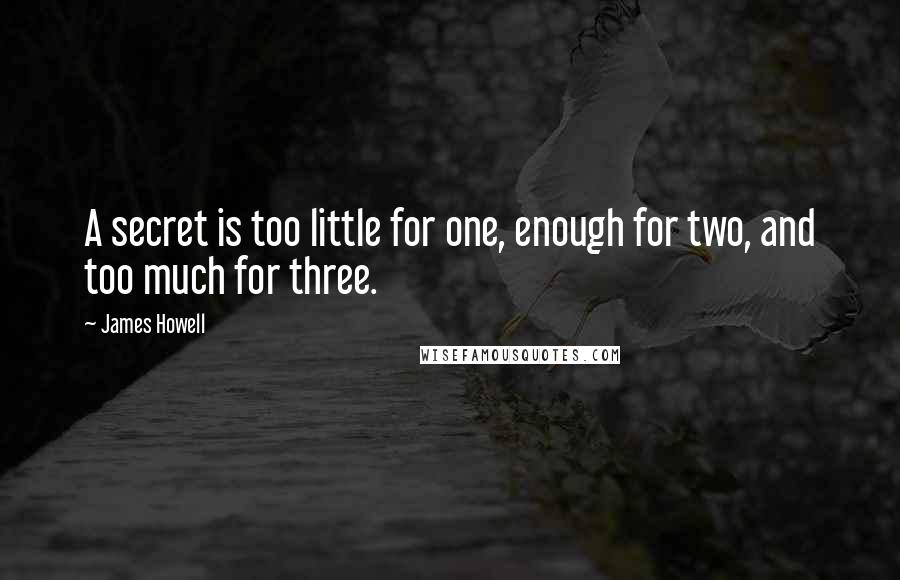 James Howell Quotes: A secret is too little for one, enough for two, and too much for three.