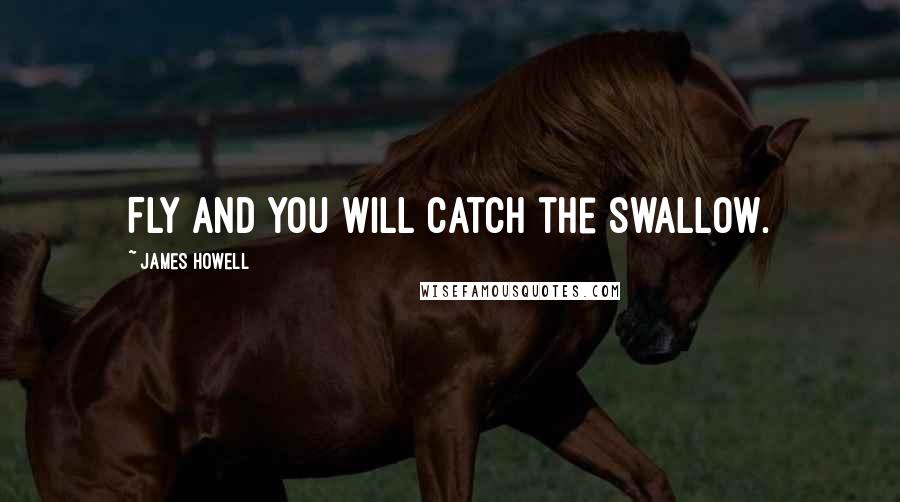 James Howell Quotes: Fly and you will catch the swallow.