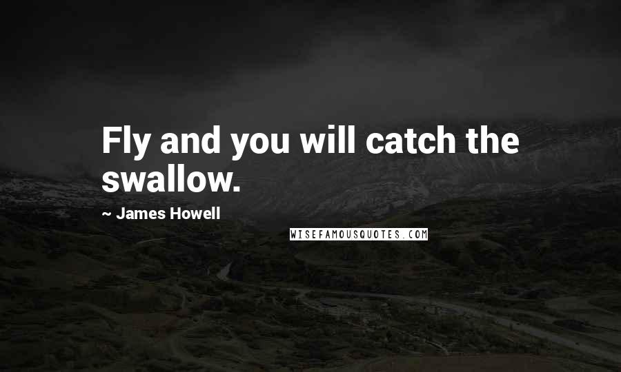 James Howell Quotes: Fly and you will catch the swallow.