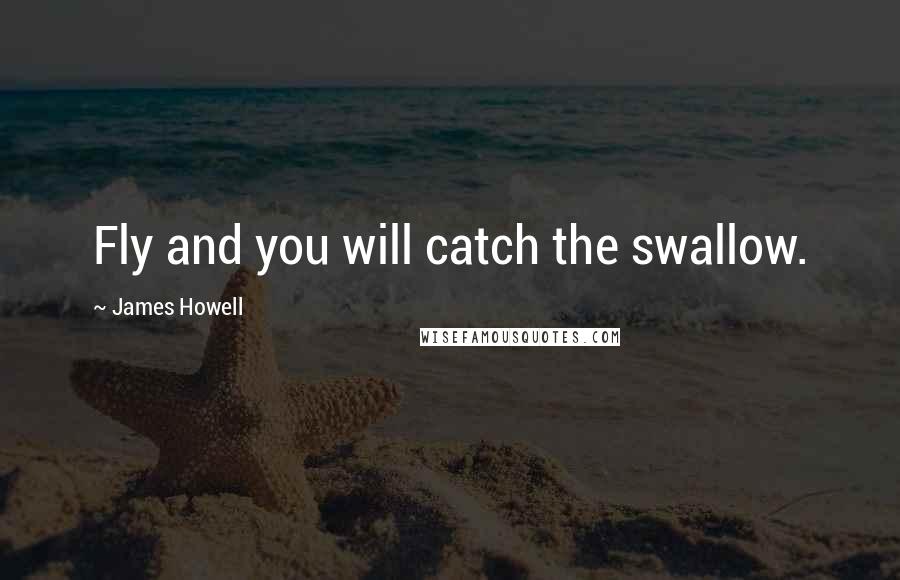 James Howell Quotes: Fly and you will catch the swallow.