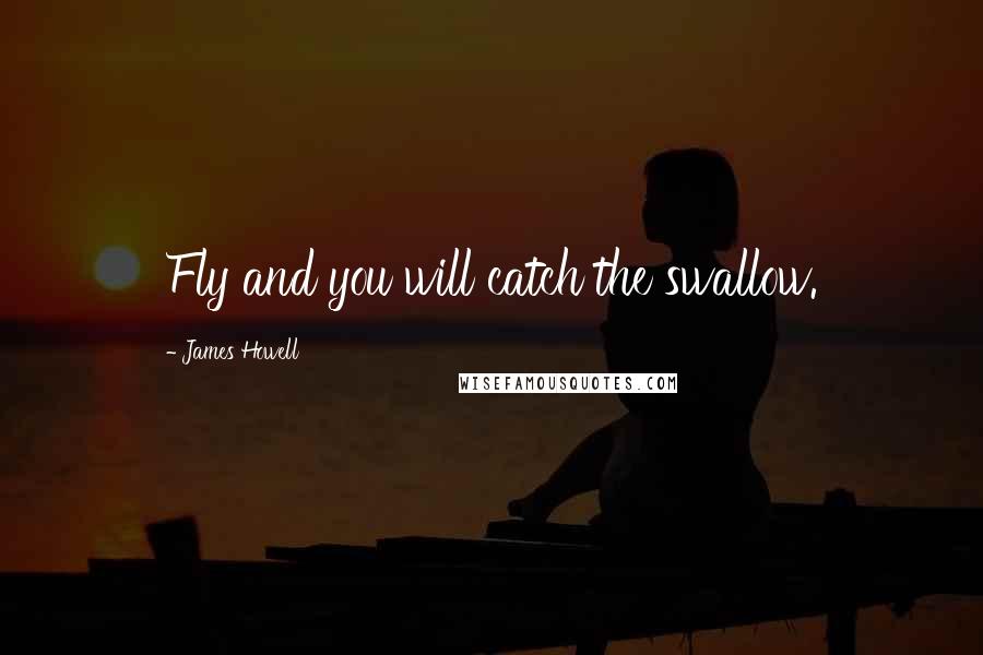 James Howell Quotes: Fly and you will catch the swallow.