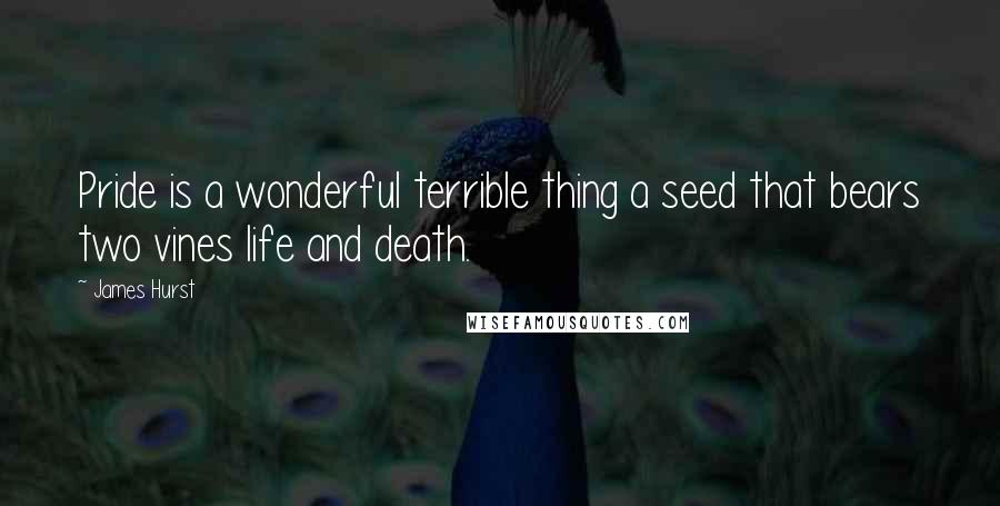 James Hurst Quotes: Pride is a wonderful terrible thing a seed that bears two vines life and death.