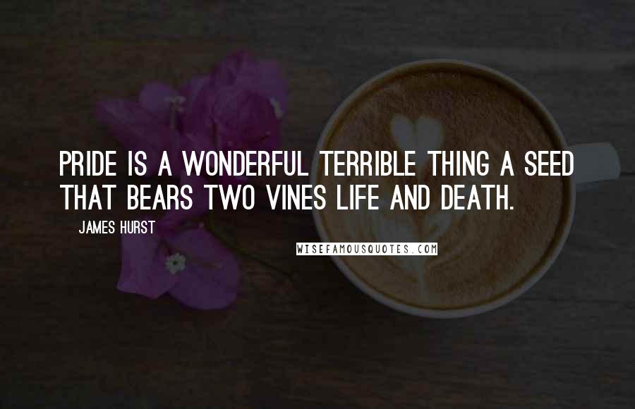 James Hurst Quotes: Pride is a wonderful terrible thing a seed that bears two vines life and death.