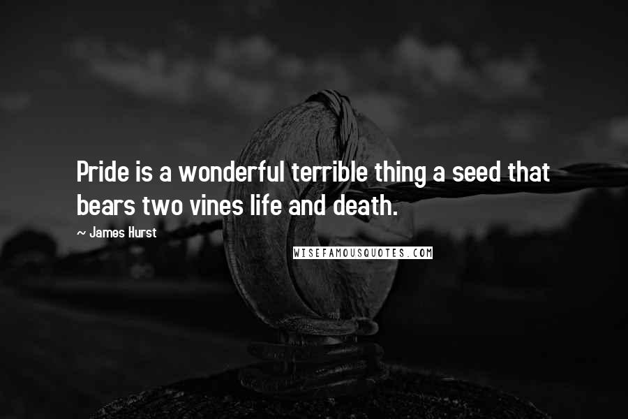 James Hurst Quotes: Pride is a wonderful terrible thing a seed that bears two vines life and death.