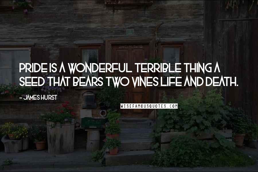 James Hurst Quotes: Pride is a wonderful terrible thing a seed that bears two vines life and death.