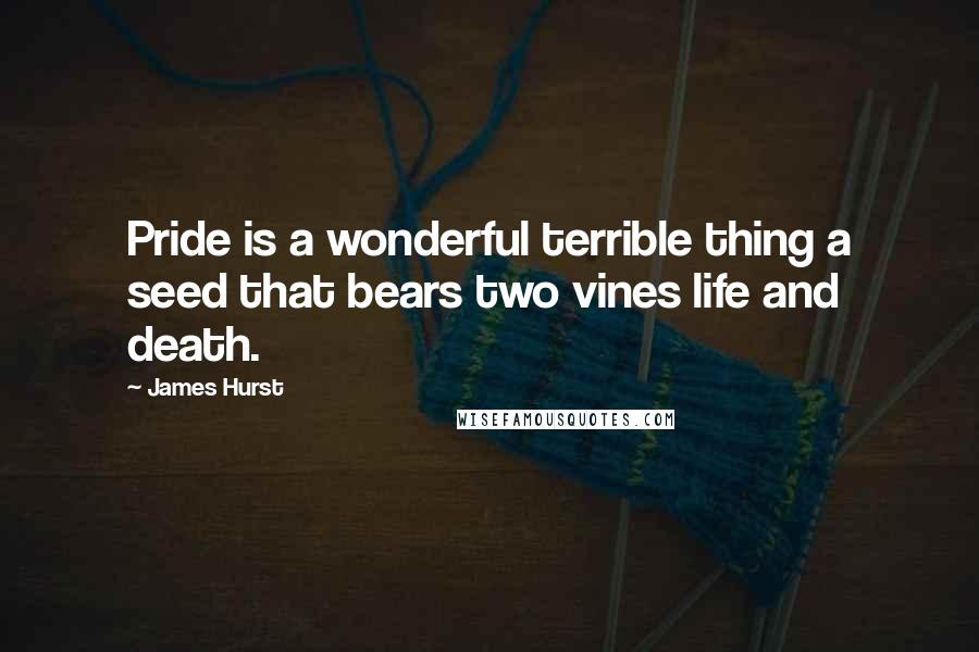 James Hurst Quotes: Pride is a wonderful terrible thing a seed that bears two vines life and death.