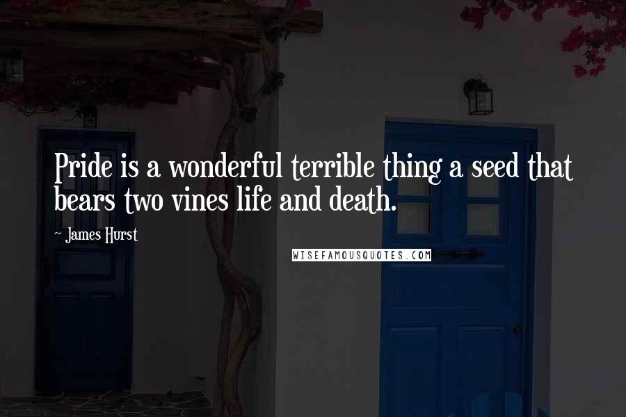 James Hurst Quotes: Pride is a wonderful terrible thing a seed that bears two vines life and death.