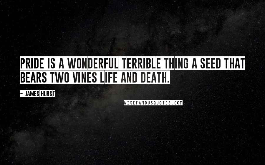 James Hurst Quotes: Pride is a wonderful terrible thing a seed that bears two vines life and death.