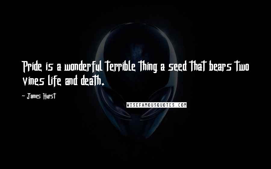 James Hurst Quotes: Pride is a wonderful terrible thing a seed that bears two vines life and death.