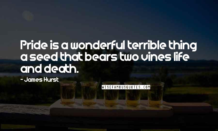 James Hurst Quotes: Pride is a wonderful terrible thing a seed that bears two vines life and death.