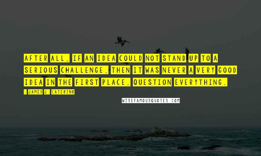 James J. Caterino Quotes: After all, if an idea could not stand up to a serious challenge, then it was never a very good idea in the first place. Question everything.