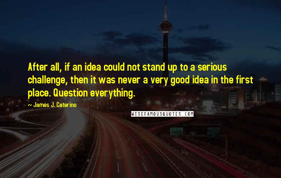 James J. Caterino Quotes: After all, if an idea could not stand up to a serious challenge, then it was never a very good idea in the first place. Question everything.