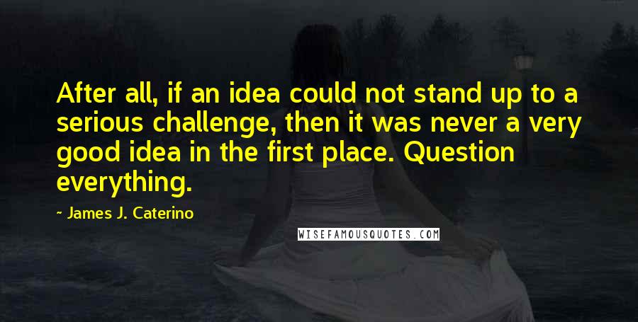 James J. Caterino Quotes: After all, if an idea could not stand up to a serious challenge, then it was never a very good idea in the first place. Question everything.