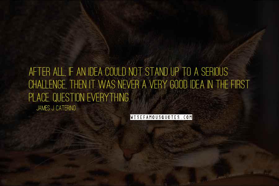 James J. Caterino Quotes: After all, if an idea could not stand up to a serious challenge, then it was never a very good idea in the first place. Question everything.