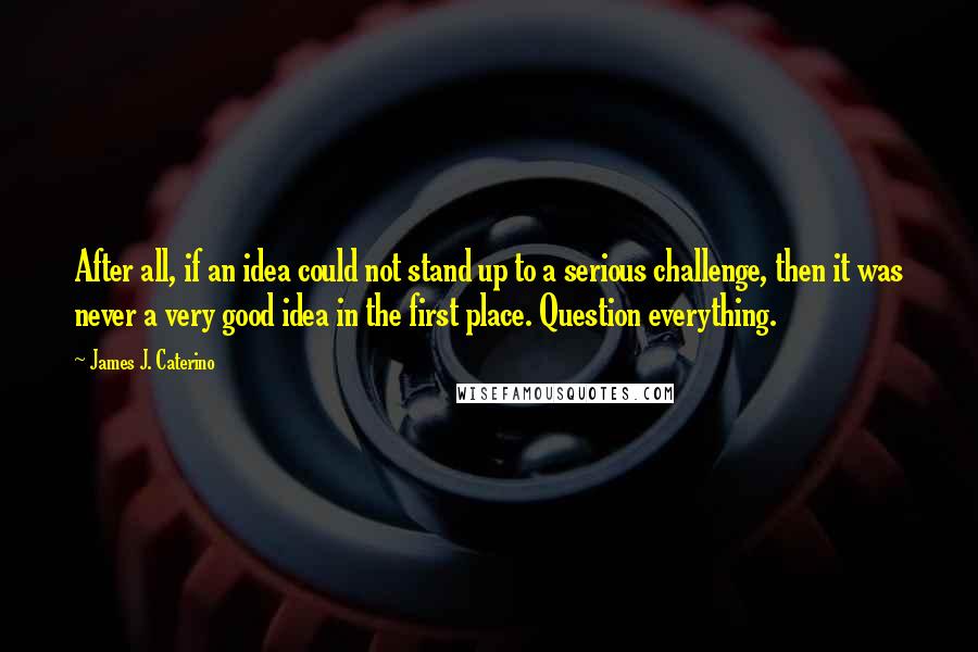 James J. Caterino Quotes: After all, if an idea could not stand up to a serious challenge, then it was never a very good idea in the first place. Question everything.