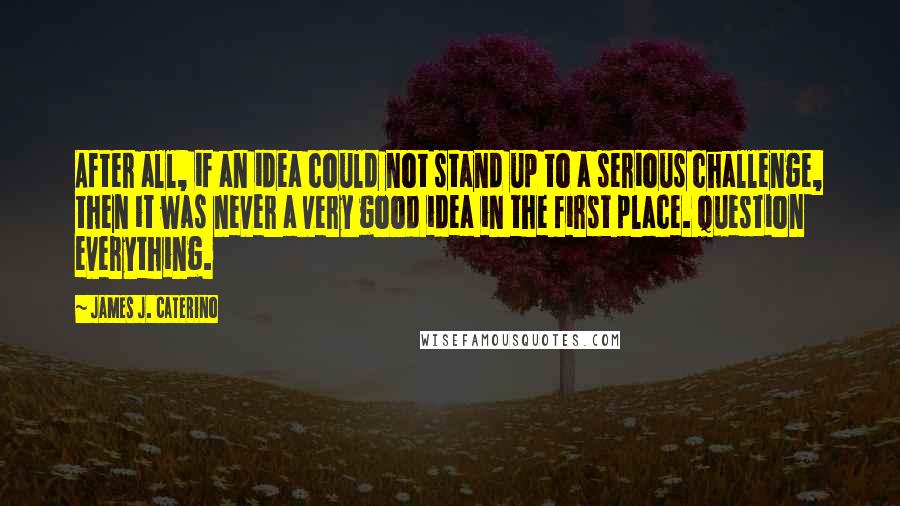 James J. Caterino Quotes: After all, if an idea could not stand up to a serious challenge, then it was never a very good idea in the first place. Question everything.