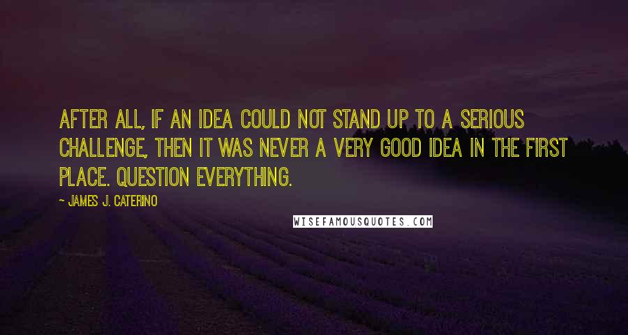 James J. Caterino Quotes: After all, if an idea could not stand up to a serious challenge, then it was never a very good idea in the first place. Question everything.