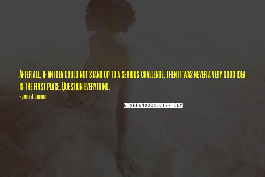 James J. Caterino Quotes: After all, if an idea could not stand up to a serious challenge, then it was never a very good idea in the first place. Question everything.