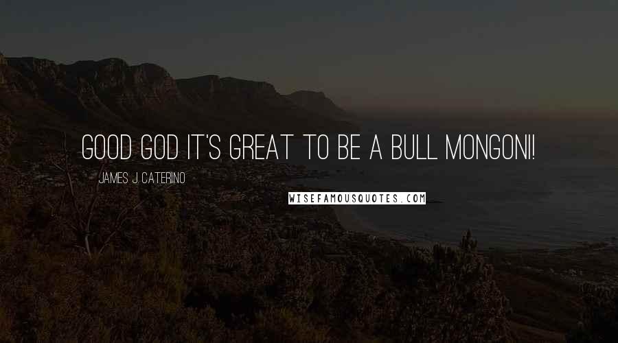 James J. Caterino Quotes: Good god it's great to be a Bull Mongoni!