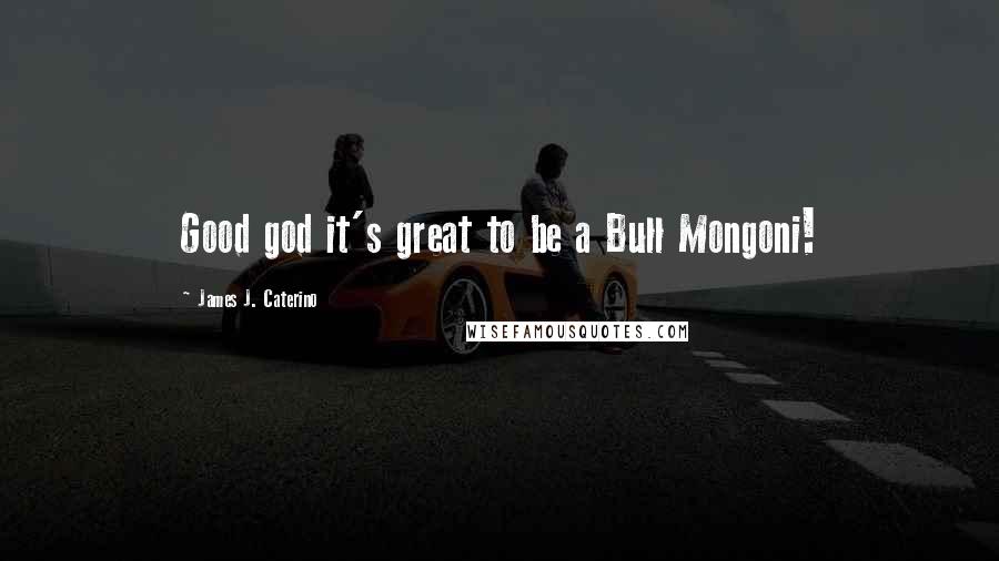 James J. Caterino Quotes: Good god it's great to be a Bull Mongoni!