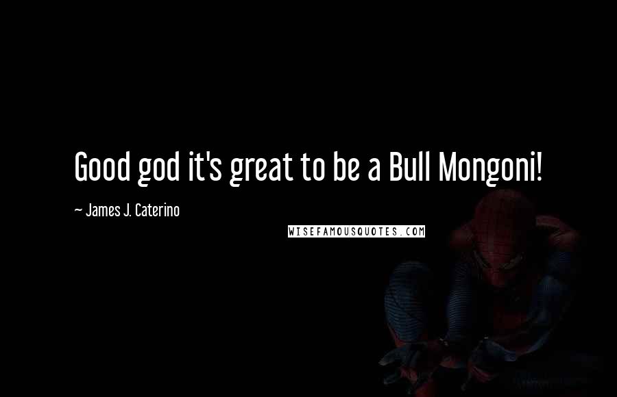 James J. Caterino Quotes: Good god it's great to be a Bull Mongoni!