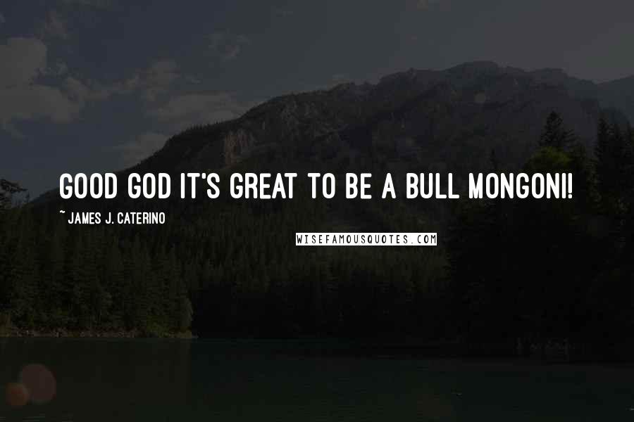 James J. Caterino Quotes: Good god it's great to be a Bull Mongoni!