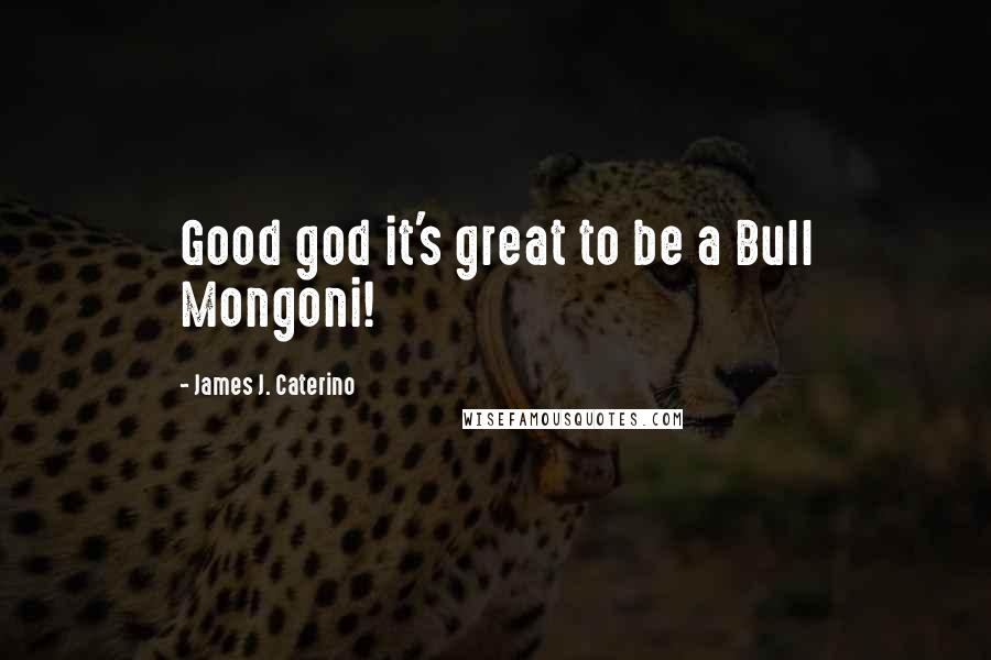 James J. Caterino Quotes: Good god it's great to be a Bull Mongoni!