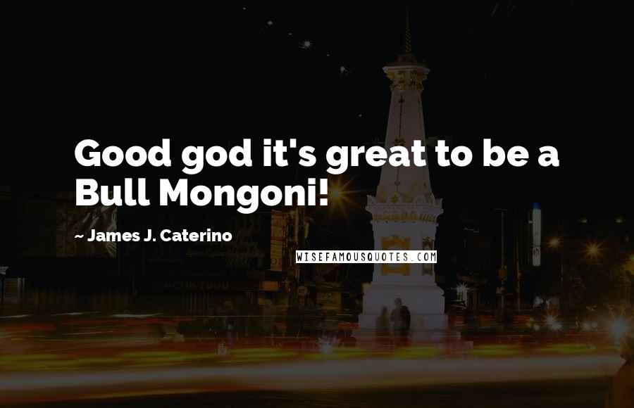 James J. Caterino Quotes: Good god it's great to be a Bull Mongoni!