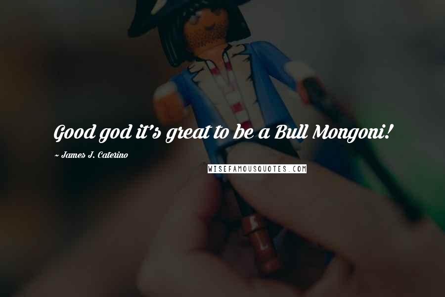 James J. Caterino Quotes: Good god it's great to be a Bull Mongoni!