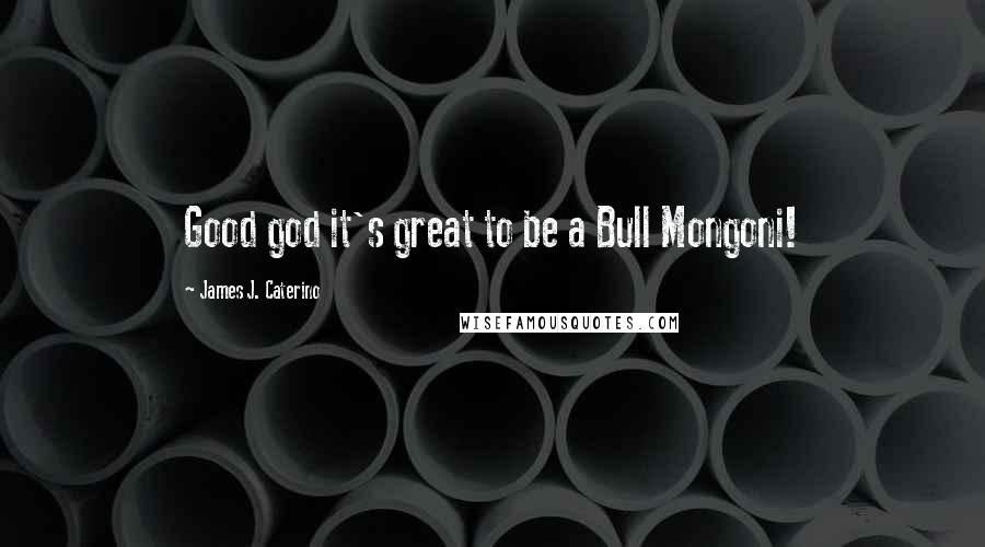 James J. Caterino Quotes: Good god it's great to be a Bull Mongoni!