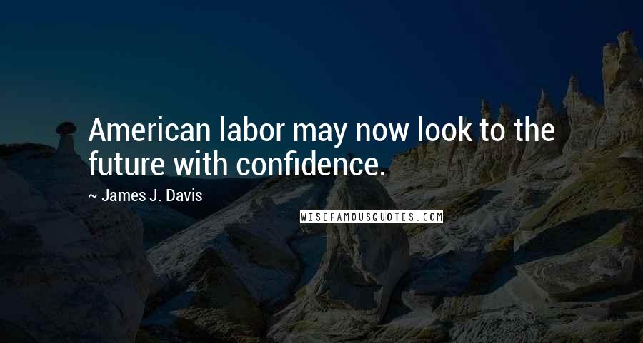 James J. Davis Quotes: American labor may now look to the future with confidence.