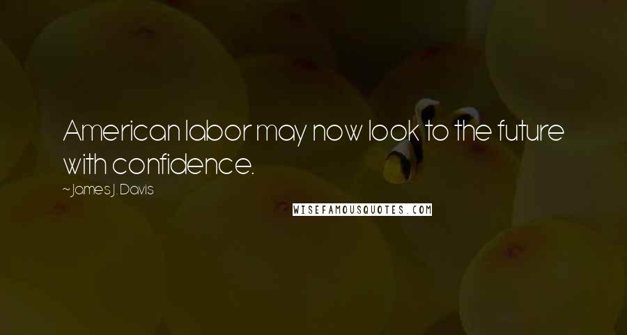 James J. Davis Quotes: American labor may now look to the future with confidence.