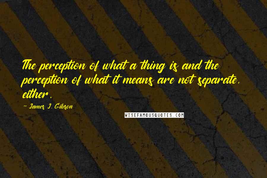 James J. Gibson Quotes: The perception of what a thing is and the perception of what it means are not separate, either.