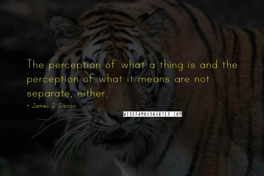 James J. Gibson Quotes: The perception of what a thing is and the perception of what it means are not separate, either.