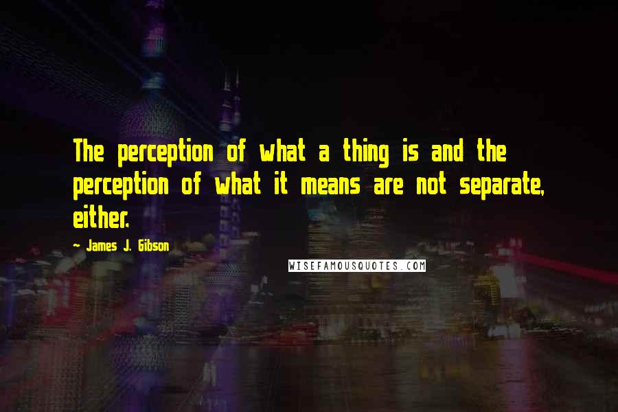 James J. Gibson Quotes: The perception of what a thing is and the perception of what it means are not separate, either.