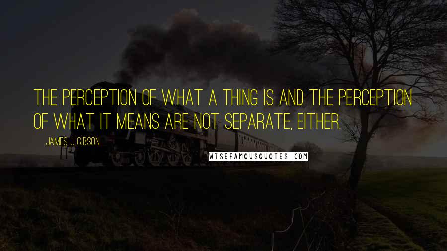 James J. Gibson Quotes: The perception of what a thing is and the perception of what it means are not separate, either.