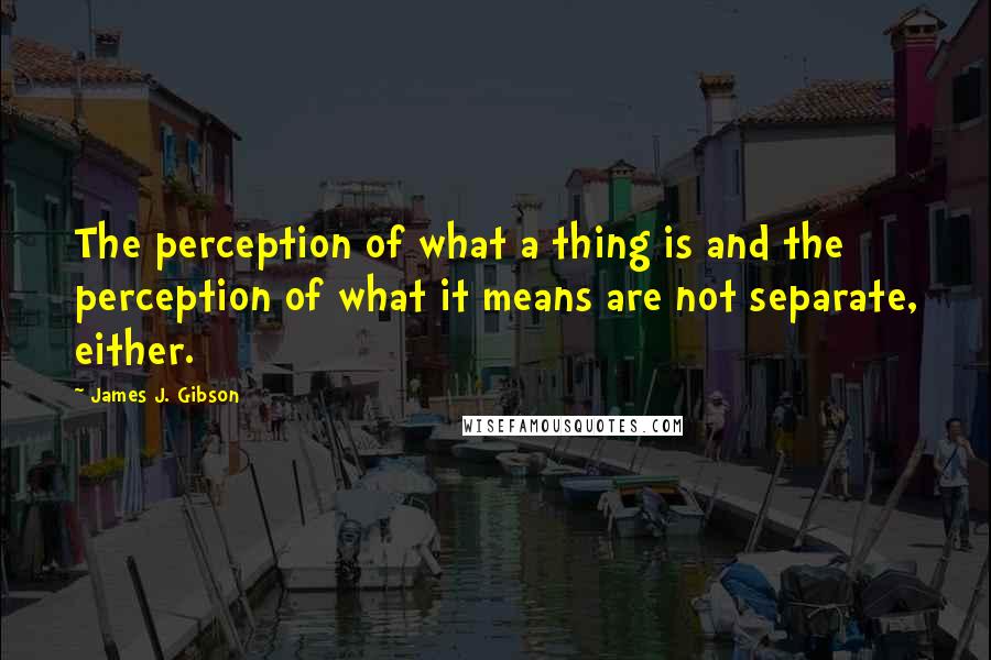 James J. Gibson Quotes: The perception of what a thing is and the perception of what it means are not separate, either.