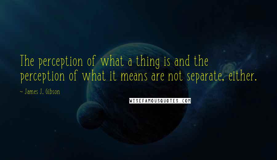 James J. Gibson Quotes: The perception of what a thing is and the perception of what it means are not separate, either.