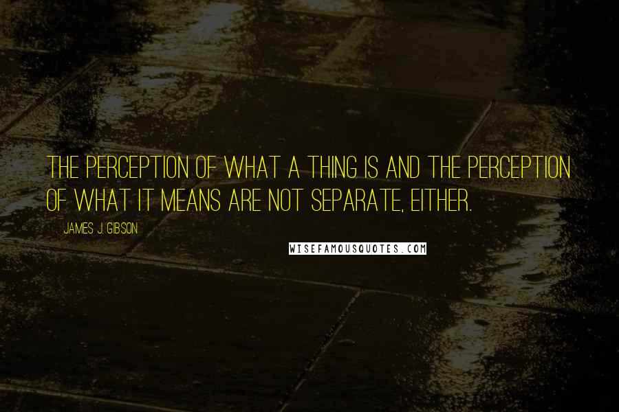 James J. Gibson Quotes: The perception of what a thing is and the perception of what it means are not separate, either.