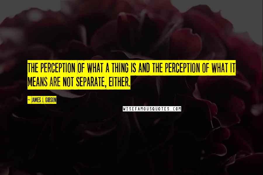 James J. Gibson Quotes: The perception of what a thing is and the perception of what it means are not separate, either.