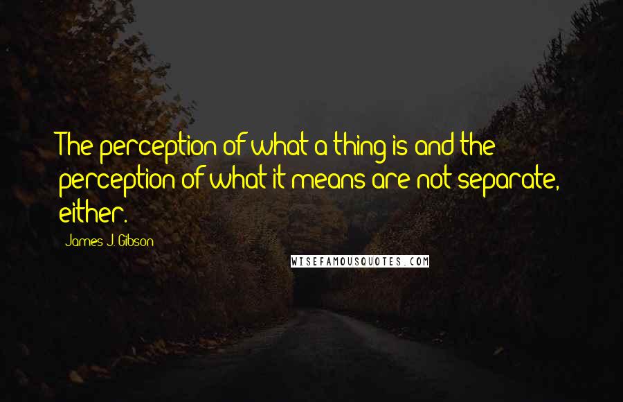 James J. Gibson Quotes: The perception of what a thing is and the perception of what it means are not separate, either.