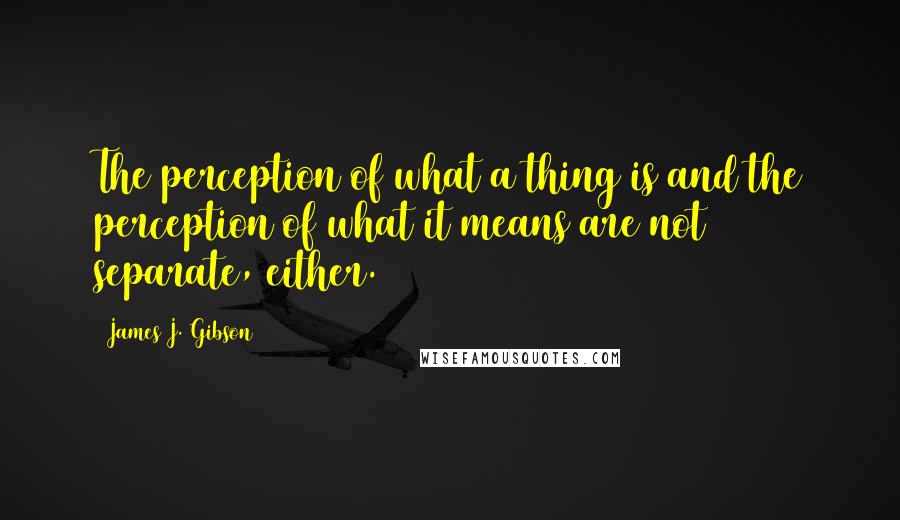 James J. Gibson Quotes: The perception of what a thing is and the perception of what it means are not separate, either.