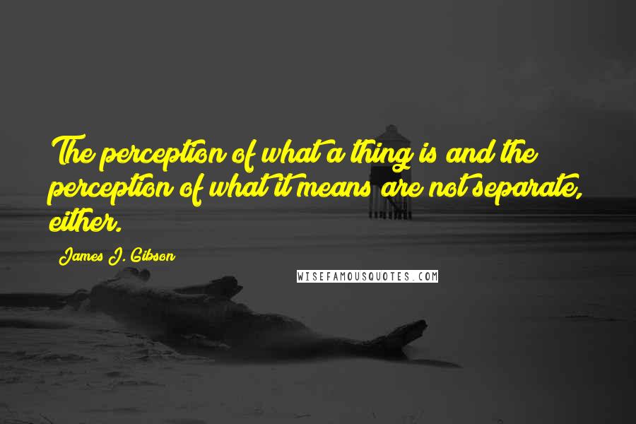 James J. Gibson Quotes: The perception of what a thing is and the perception of what it means are not separate, either.