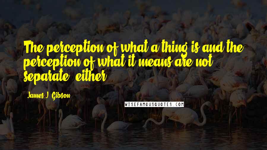 James J. Gibson Quotes: The perception of what a thing is and the perception of what it means are not separate, either.