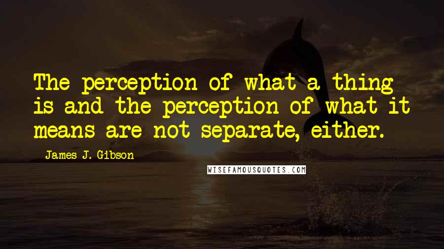 James J. Gibson Quotes: The perception of what a thing is and the perception of what it means are not separate, either.