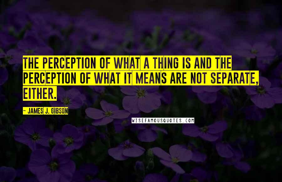 James J. Gibson Quotes: The perception of what a thing is and the perception of what it means are not separate, either.